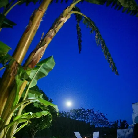 Pool Oasis With Private Parking- Modern Country Vigia 8