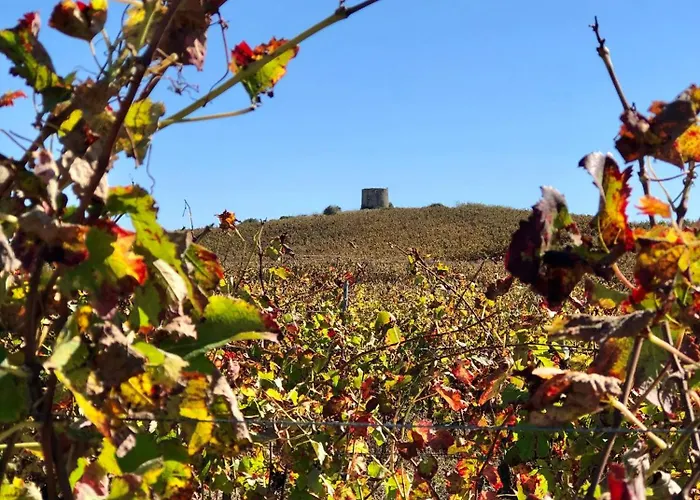 Pool Oasis With Private Parking- Modern Country Vigia 8 *